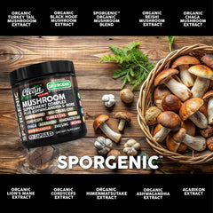 Black Hoof mushroom and immune-supporting mushrooms