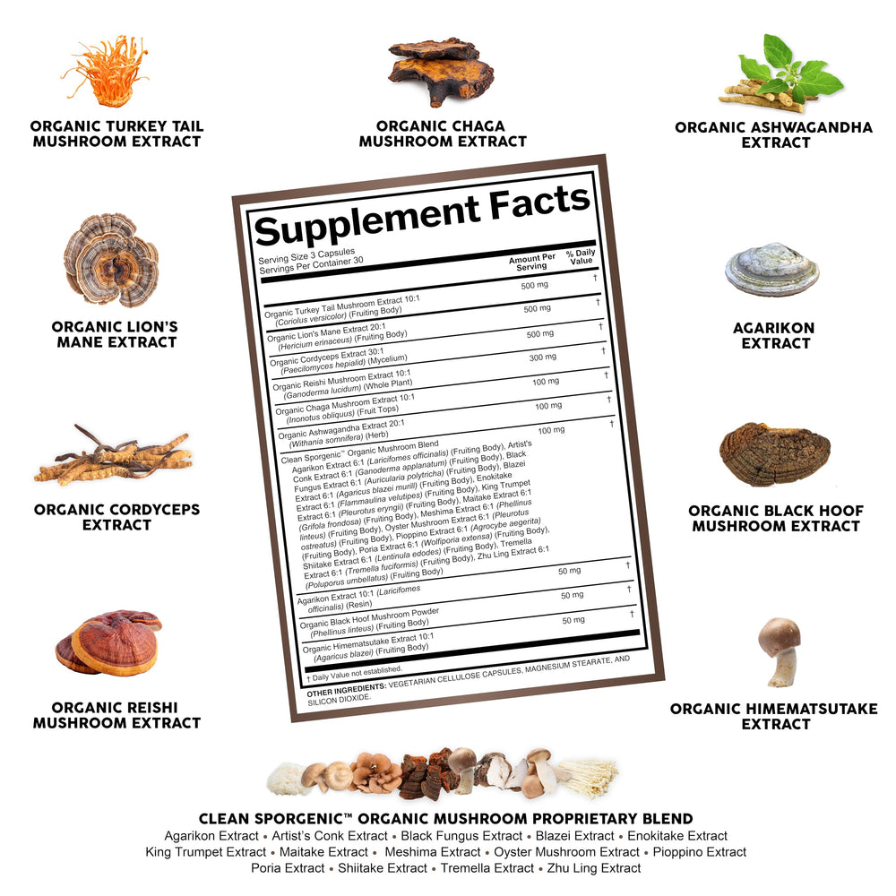 Mushroom powder capsules from Sporgenic supplement