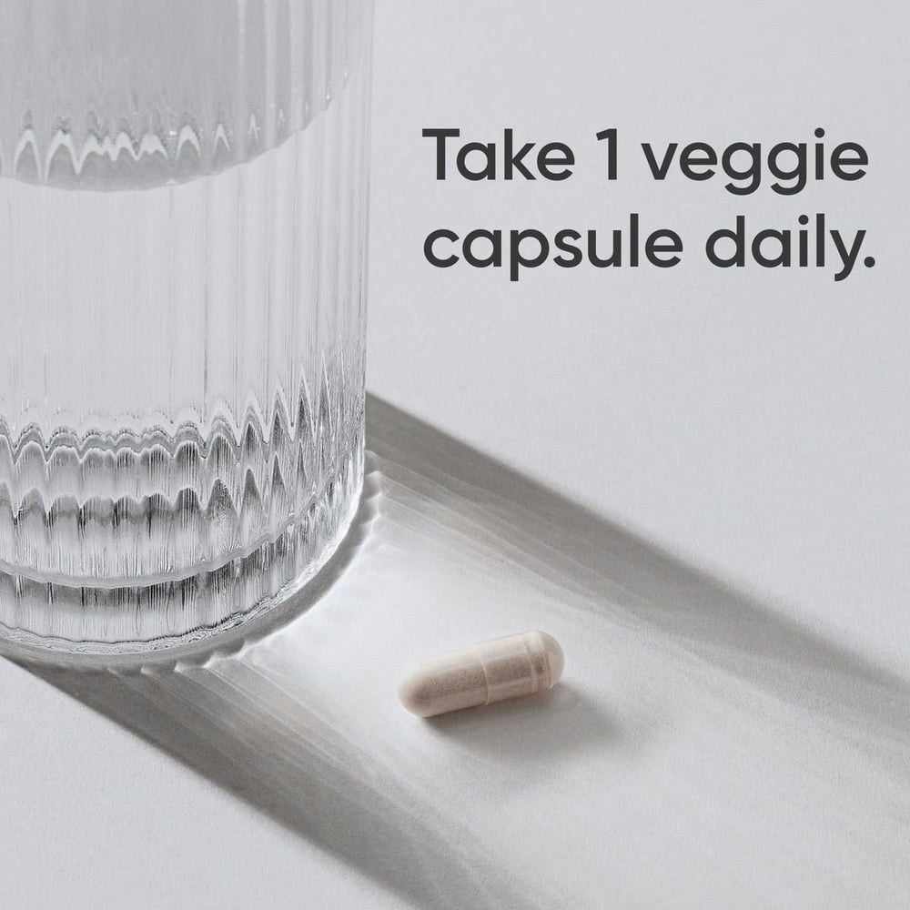 Probiotics and ginger ingredients concept