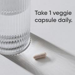 Probiotics and ginger ingredients concept