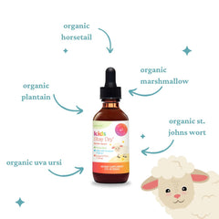 Herbal blend graphic: Cornsilk, Agrimony, Plantain Leaf