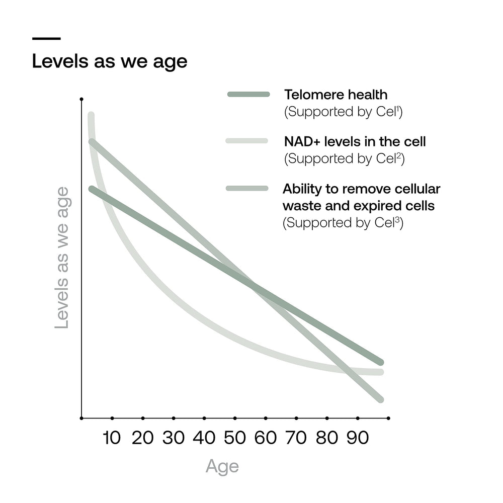 Illustration of cellular health and aging support
