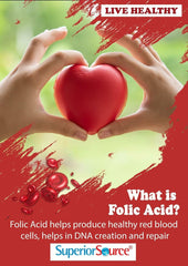 GMP-certified manufacturing facility reference for Superior Source