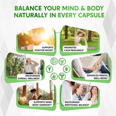 14 in 1 blend ingredients including ST John's Wort Rhodiola Ashwagandha Chamomile