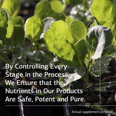 Standard Process Cal-Ma Plus bottle image