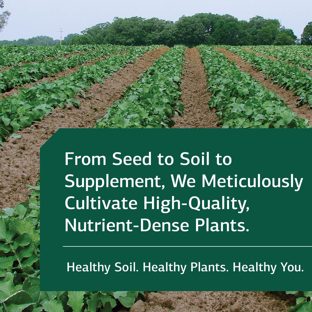 Lifestyle image of Drenamin supplement for stress and energy support