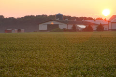 Standard Process logo