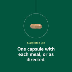 Whole-food pancreas support digestive supplement by Standard Process