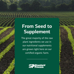 Standard Process SP Detox Balance packaging conveys gluten-free, vegan credentials at a glance.