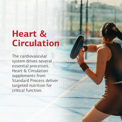 Tablets packaging for Standard Process Whole Food Folate