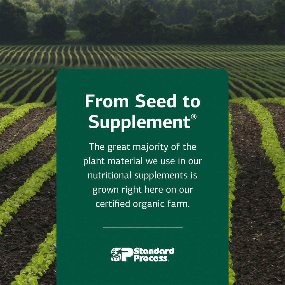 Graphic illustrating folate and B12 benefits