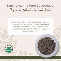 Close-up of natural black cohosh root pieces, cut and sifted
