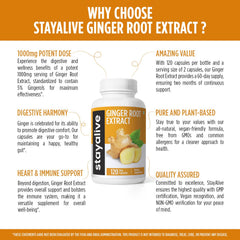 Nutritional facts panel for Stay Alive Ginger Root Capsules