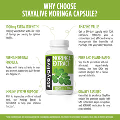 Assorted vitamins and herbs with Moringa leaves illustration