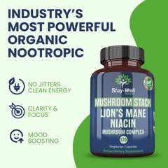 Lion's Mane extract 10:1 illustration