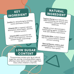 Stay-Well Naturals Mixed Berry Gummies closeup highlights flavor and natural ingredients.