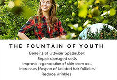 Glisodin cantaloupe extract ingredient used in STC30