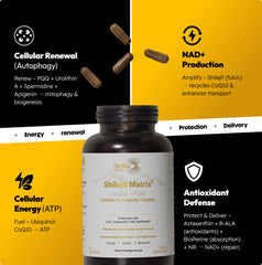 Close-up of Ubiquinol CoQ10 and Shilajit ingredients