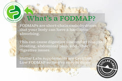 Stellar Labs shaker bottle with protein shake demonstrates quick, convenient on-the-go fueling.