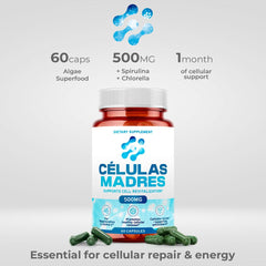 Spirulina and Chlorella ingredients concept for supplement
