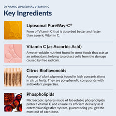 Graphic representing immune support and collagen production