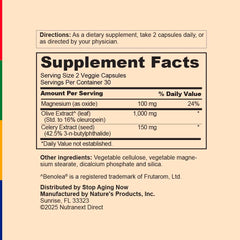 Magnesium supplement ingredient included in the formula