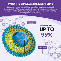 Stress relief and sleep support from the drops