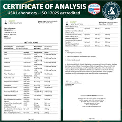 Irish Sea Moss powder and raw sea moss components