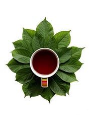 Organic lab-tested Suan Zao Ren 5:1 extract powder