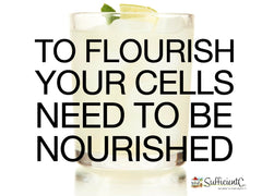 Ideal for college students and travelers