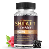 Sugar-free Shilajit Gummies label in raspberry flavor