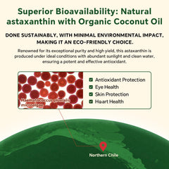 Sugar-free vegan omega-3 gummy product image