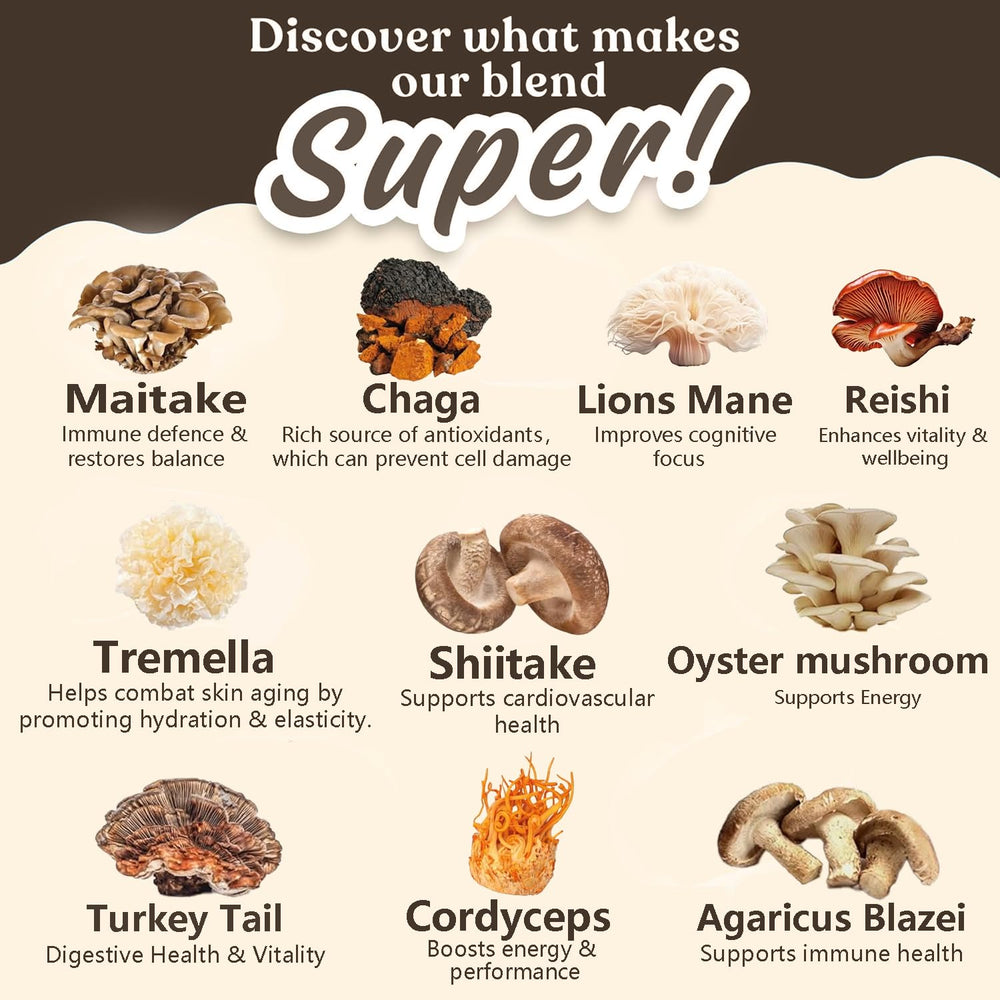 Visualization of 10:1 mushroom extract and 3500mg equivalent