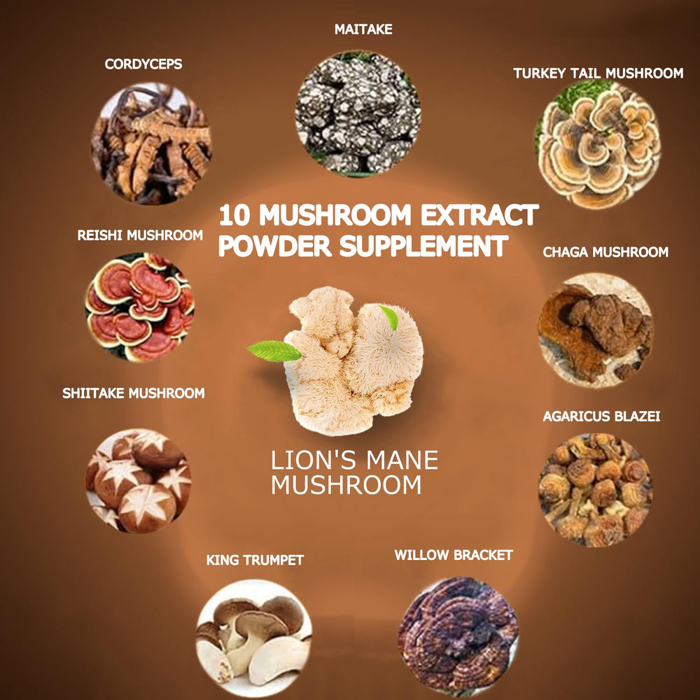 Close-up of the 10-mushroom powder blend ingredients