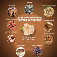 Close-up of the 10-mushroom powder blend ingredients