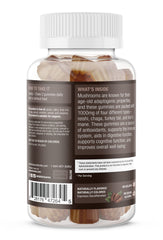 Close-up of Reishi mushroom gummy