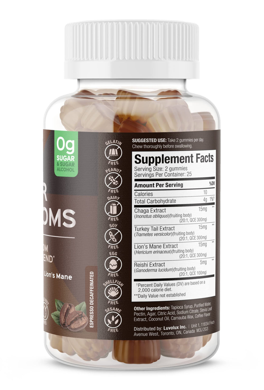 Close-up of Chaga mushroom gummy