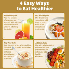 Bladderwrack and minerals in SumDIP Sea Moss Gel