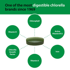 Graphic showing immune support benefits of Sun Chlorella 500mg