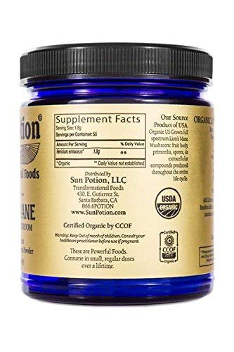 Close-up of Lion’s Mane powder texture for Mind Power Mushroom