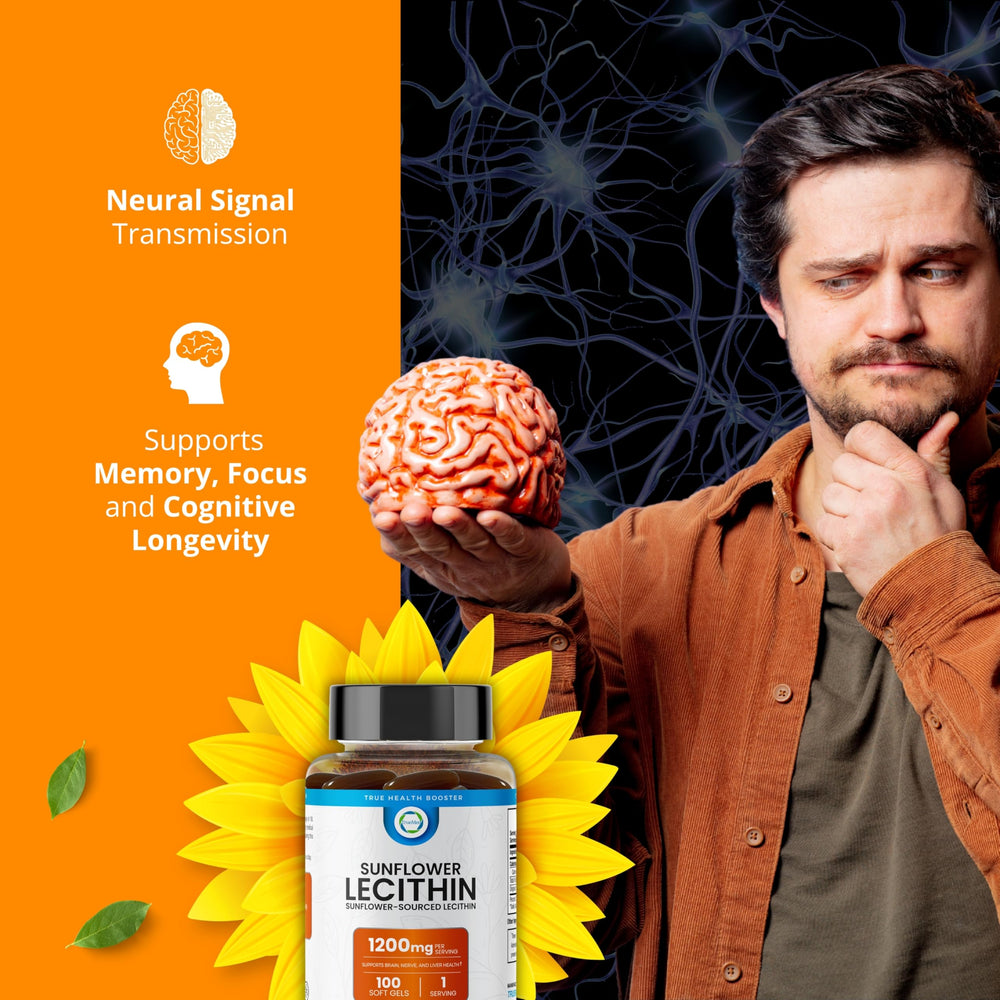 Graphic illustrating brain health benefits of sunflower lecithin