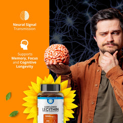 Graphic illustrating brain health benefits of sunflower lecithin
