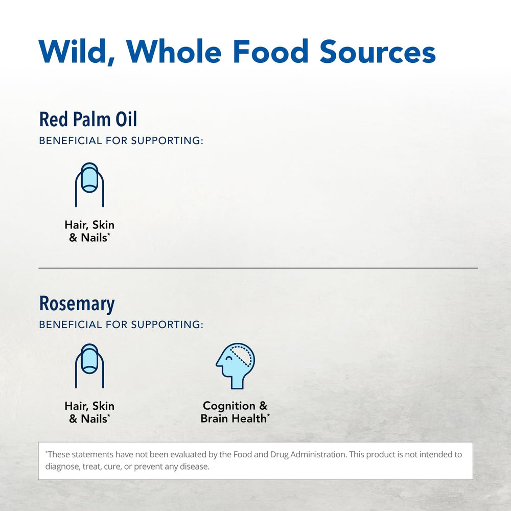 Sunflower seed vitamin E complex ingredients