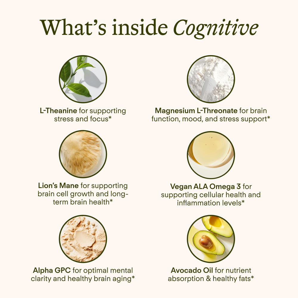 Lion’s Mane mushroom ingredient for brain health