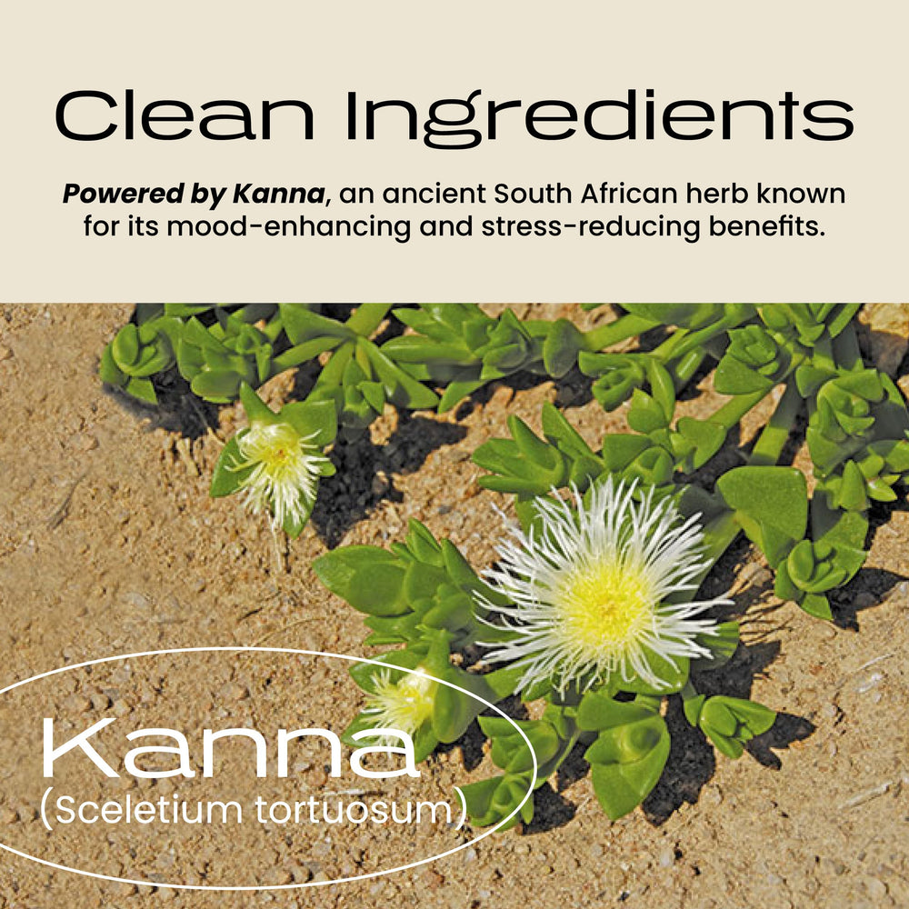 Sunrise Balanced Energy Kanna tropical flavor close-up shows refreshing energy.