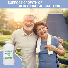 Professional kitchen use: stabilizer and filler with lactose powder