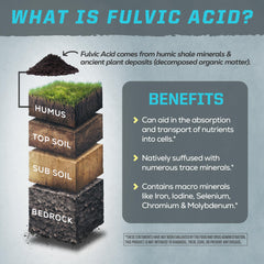 Sunwarrior branding on packaging