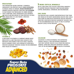 Reishi mushroom and essential vitamins visual