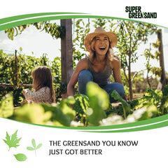 Soil after Greensand application showing improved texture