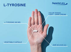 Daily serving of 500 mg L-Tyrosine capsules